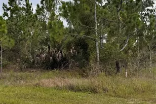 13279 Carousel Dr, Punta Gorda, FL 33955 - Photo 1