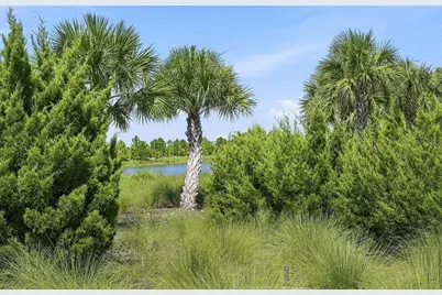 17556 Corkwood Bend Trail, Punta Gorda, FL 33982 - Photo 60