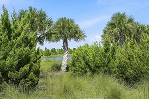 17556 Corkwood Bend Trail, Punta Gorda, FL 33982 - Photo 60