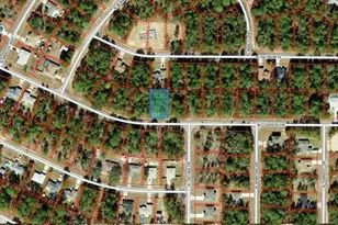 3369 W Cushion Dr, Citrus Springs, FL 34433 - Photo 1