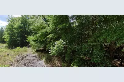 0 NW 14th, Ocala, FL 34482 - Photo 4