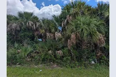 13337 Appleton Boulevard, Port Charlotte, FL 33981 - Photo 1