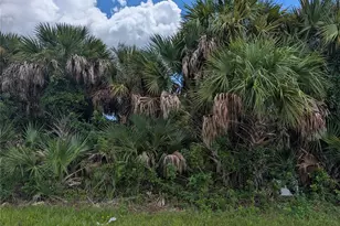 13337 Appleton Blvd, Port Charlotte, FL 33981 - Photo 1