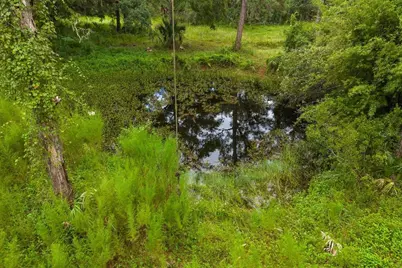 1220 NE 342nd Trail, Okeechobee, FL 34972 - Photo 8