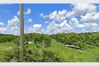 Holopaw Groves Road, Saint Cloud, FL 34773 - Photo 2