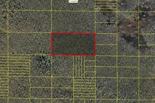 Holopaw Groves Rd, Saint Cloud, FL 34773 - Photo 1