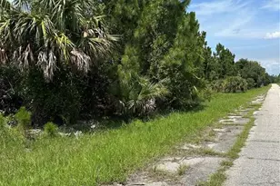 Lot 10 Langlais Dr, North Port, FL 34288 - Photo 8