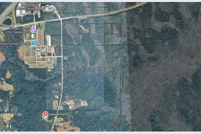 No Street, Lake Helen, FL 32744 - Photo 4