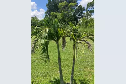 6643 Stardust Avenue, North Port, FL 34287 - Photo 16
