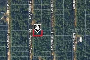 920 Del Monaco Ave, Interlachen, FL 32148 - Photo 1