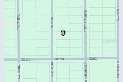 Usina Ave, Interlachen, FL 32148 - Photo 4