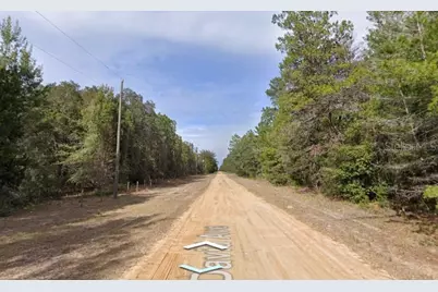 David Ave, Interlachen, FL 32148 - Photo 1