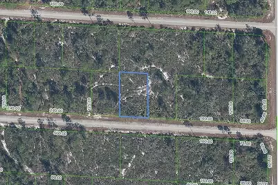 3509 Spoonbill Avenue, Lake Placid, FL 33852 - Photo 1