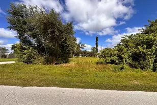 11128 Carnegie Ave, Englewood, FL 34224 - Photo 1