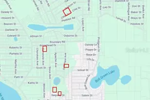 James St, Interlachen, FL 32148 - Photo 1