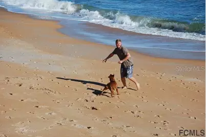 47 Shelter Cove Circle, Beverly Beach, FL 32136 - Photo 20