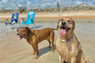 200 Marina Bay Dr, Flagler Beach, FL 32136 - Photo 54