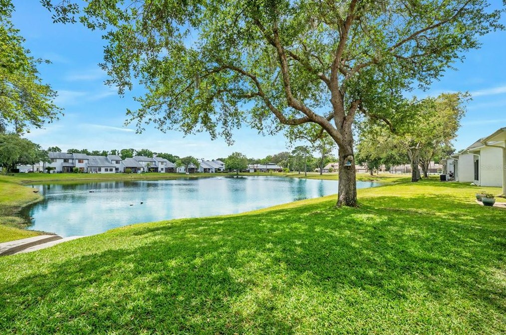 2242 Candlewood Ln, New Smyrna FL  32168-9721 exterior