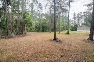 2132 Lancewood St, Bunnell, FL 32110 - Photo 30