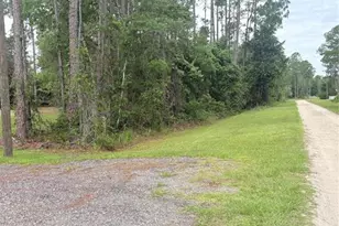 2132 Lancewood St, Bunnell, FL 32110 - Photo 40