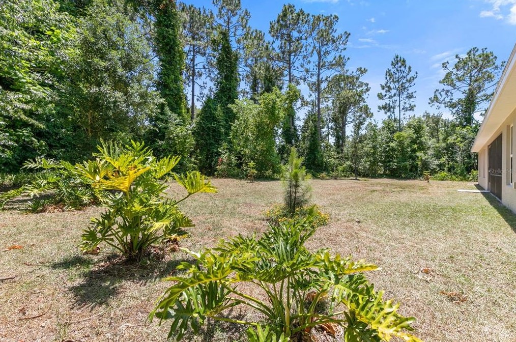 93 Rose Dr, Palm Coast FL  32164-6940 exterior