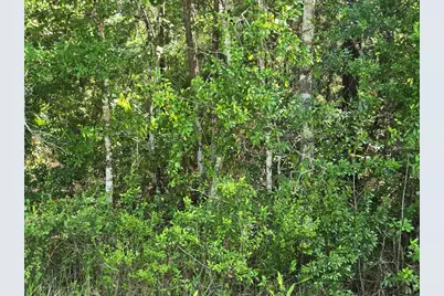 1925 Cr-13, Bunnell, FL 32110 - Photo 8