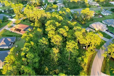 71 Sea Trail, Palm Coast, FL 32164 - Photo 12