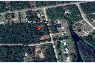 105 Pine Cone Drive, Georgetown, FL 32139 - Photo 8