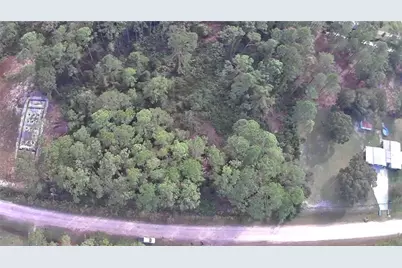 105 Pine Cone Drive, Georgetown, FL 32139 - Photo 4