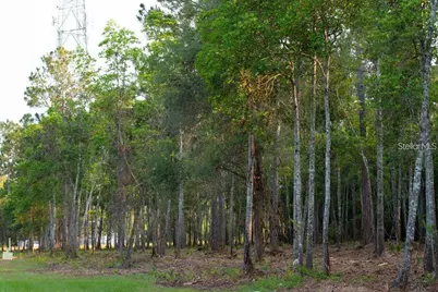 53Xx US Hwy 1 N, Bunnell, FL 32110 - Photo 2