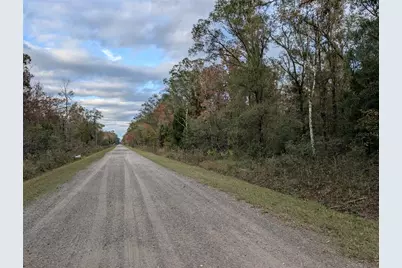 10660 Turpin Avenue, Hastings, FL 32145 - Photo 2