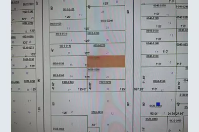 Lot28 SW 57th Avenue, Interlachen, FL 32148 - Photo 2