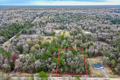 10230 Weatherby Avenue, Hastings, FL 32145 - Photo 4