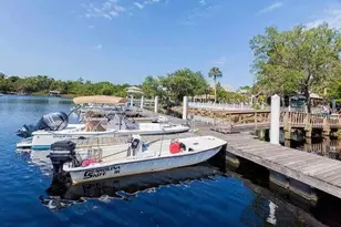 204 Virginia Ave, Steinhatchee, FL 32359 - Photo 44