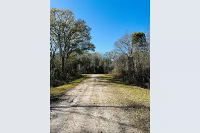 4790 Alvin Street, Hastings, FL 32145 - Photo 12