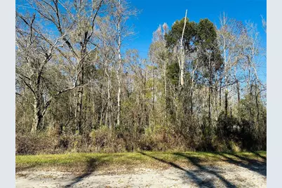 4790 Alvin Street, Hastings, FL 32145 - Photo 2