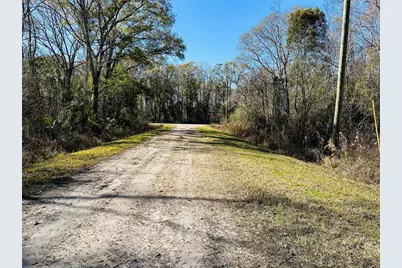 4790 Alvin Street, Hastings, FL 32145 - Photo 10