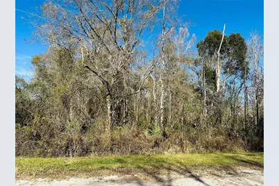 4790 Alvin Street, Hastings, FL 32145 - Photo 1