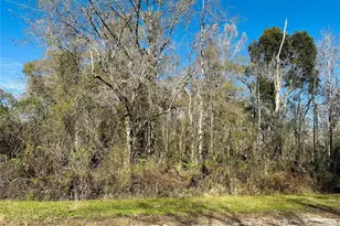 4790 Alvin St, Hastings, FL 32145 - Photo 1