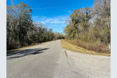 4790 Alvin Street, Hastings, FL 32145 - Photo 8