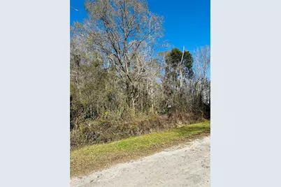 4790 Alvin Street, Hastings, FL 32145 - Photo 6