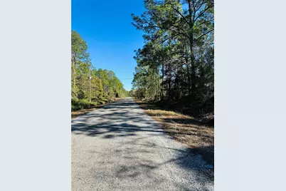 4315 Theresa Street, Hastings, FL 32145 - Photo 16