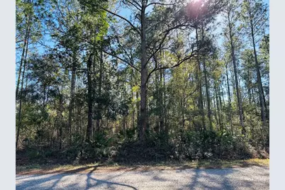 4315 Theresa Street, Hastings, FL 32145 - Photo 8