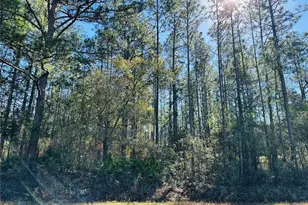 4315 Theresa St, Hastings, FL 32145 - Photo 1