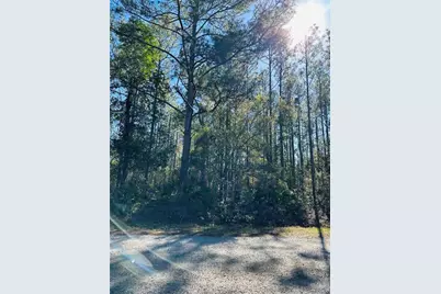 4315 Theresa Street, Hastings, FL 32145 - Photo 10