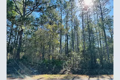 4315 Theresa Street, Hastings, FL 32145 - Photo 4