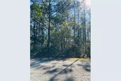 4315 Theresa Street, Hastings, FL 32145 - Photo 6