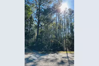 4315 Theresa Street, Hastings, FL 32145 - Photo 18