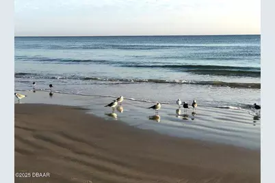 1415 Ocean Shore Boulevard #L1, Ormond Beach, FL 32176 - Photo 38