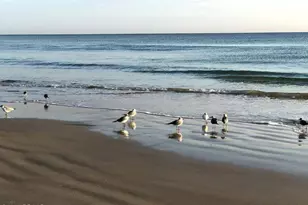 1415 Ocean Shore Blvd, Ormond Beach, FL 32176 - Photo 38